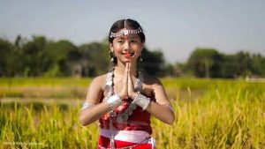 अप्नार भाषा, संस्कृति आर समाज