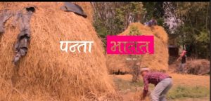 पन्ता भातत खावार माजा